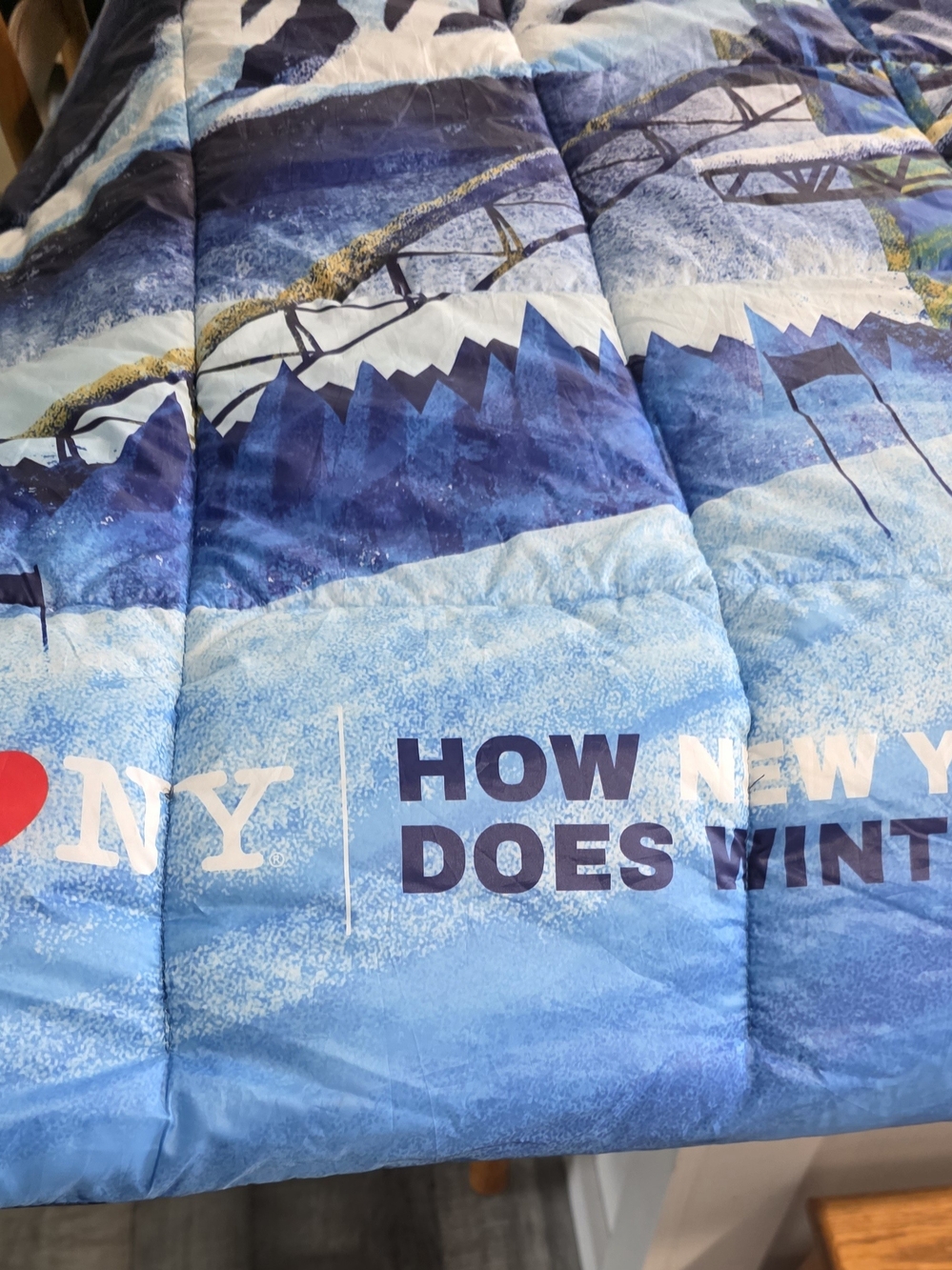 Limited Edition Lake Placid 2023 Twin Comforter - Picture 2 of 4